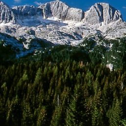 Parco Naturale Regionale delle Prealpi Giulie