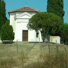 Pineta e chiesetta di S. Marco