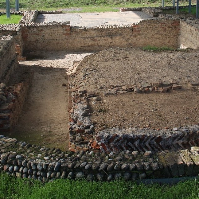 Palazzo Pignano, Antiquarium